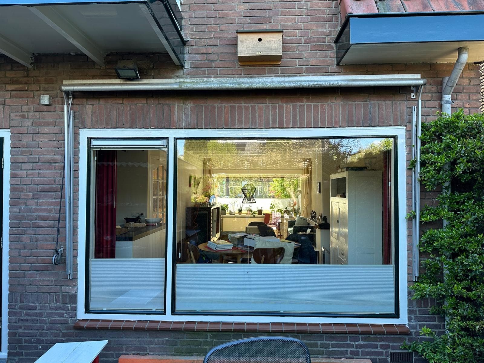 Grote witte pui aan de tuin onder de donkergroene balkonrand
