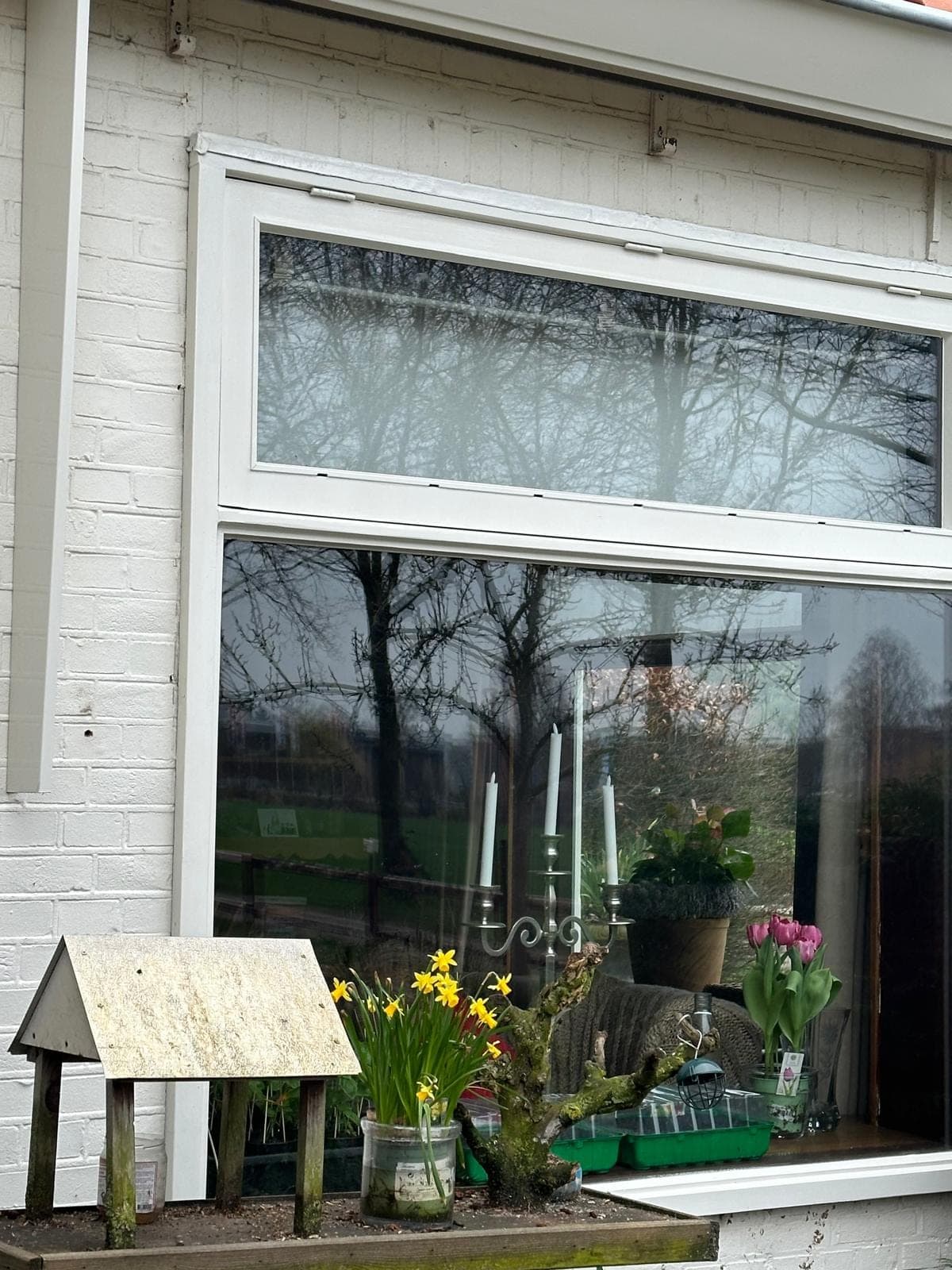 Groot wit kozijn met bovenlicht en vensterbank met bloemen